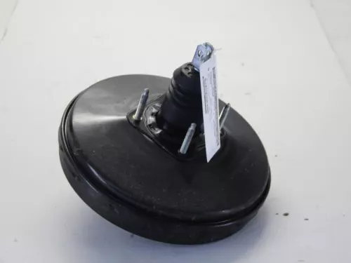 Rembekrachtiger-7880947