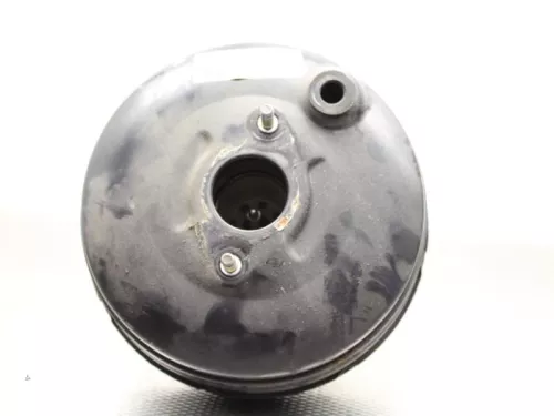 Rembekrachtiger-7888239