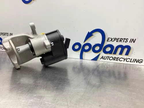 Remklauw (Tang) rechts-achter-