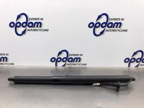 Gasdemper links-achter-