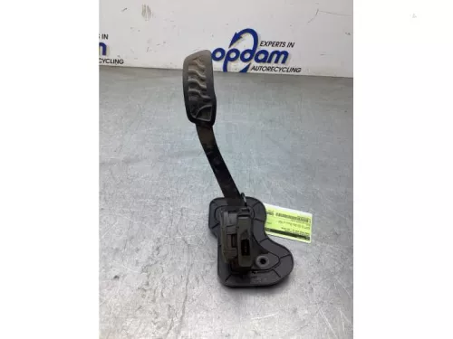 Gaspedaalpositie Sensor-8180900