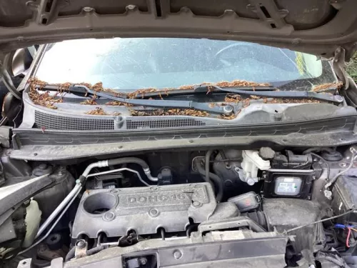 Ruitenwisserarm voor-8143723