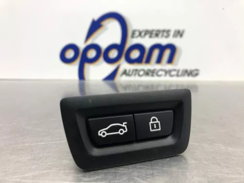 Schakelaar achterklep-8181831