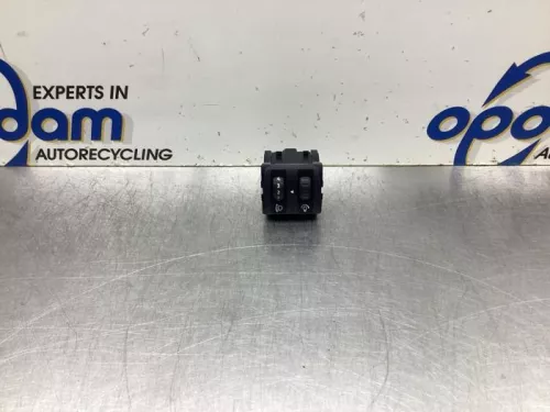 Schakelaar Koplamp Ihv-8048548