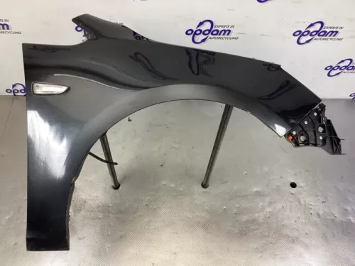 Scherm rechts-voor-8129020