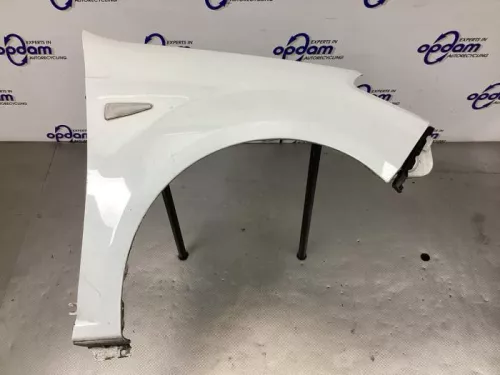 Scherm rechts-voor-8150924