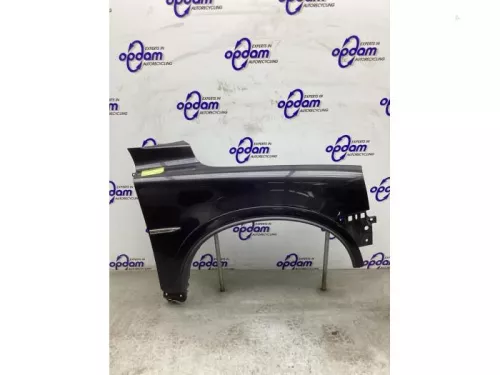 Scherm rechts-voor-6143475