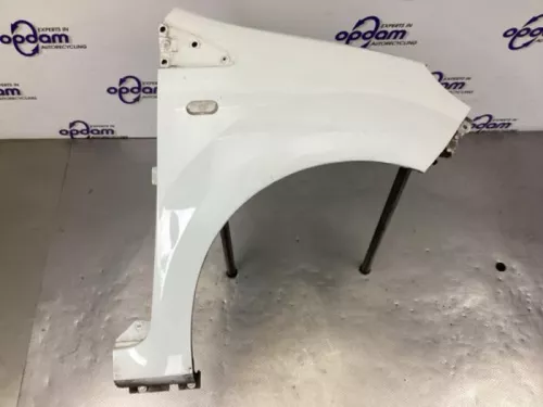 Scherm rechts-voor-8278910