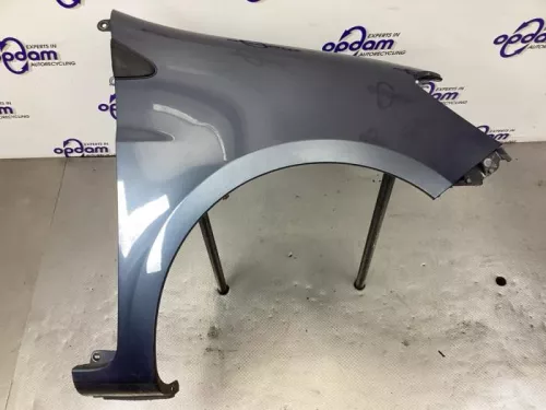 Scherm rechts-voor-8246928