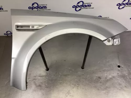 Scherm rechts-voor-8211406