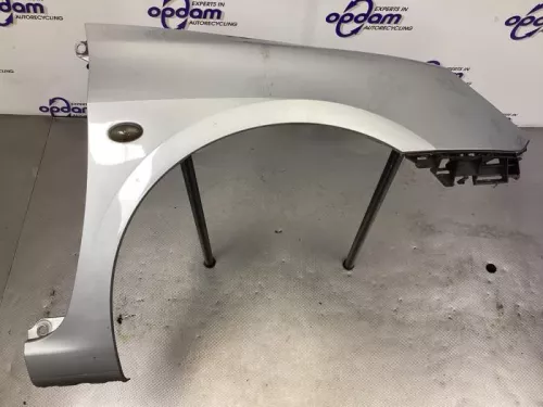 Scherm rechts-voor-8131439