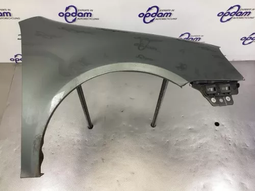 Scherm rechts-voor-8314841