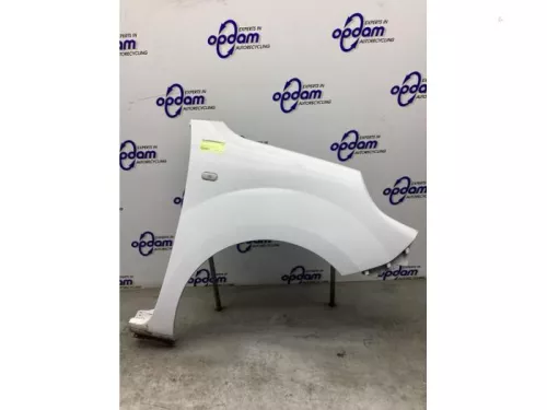 Scherm rechts-voor-8145883