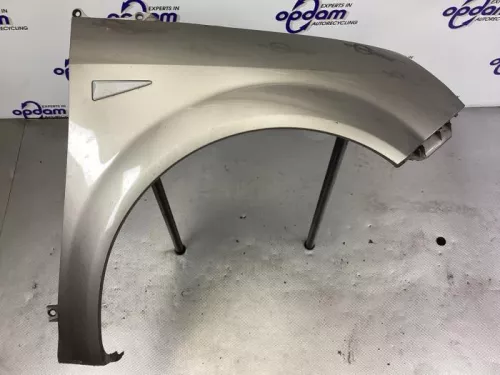 Scherm rechts-voor-8197146