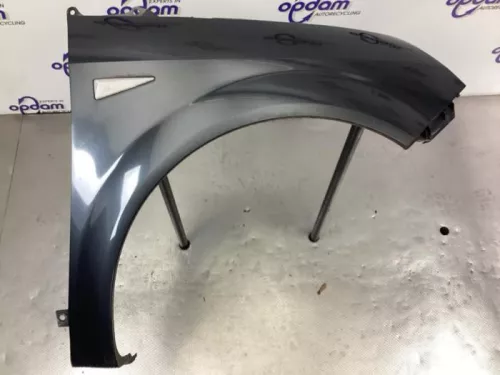 Scherm rechts-voor-8198487