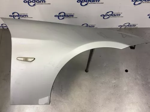 Scherm rechts-voor-7931688