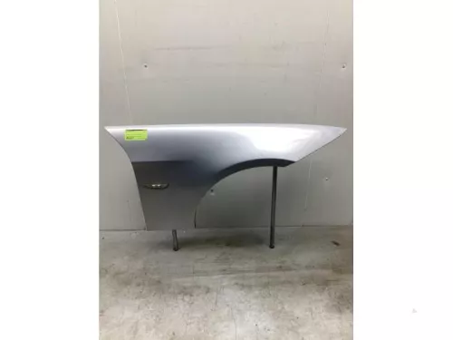 Scherm rechts-voor-7427445