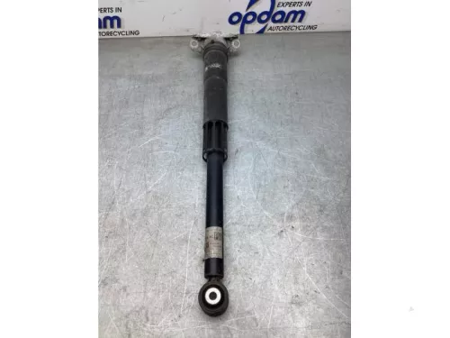 Schokdemper links-achter-8223764