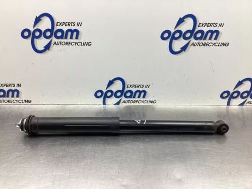 Schokdemper links-achter-8046884