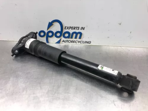 Schokdemper links-achter-7613982