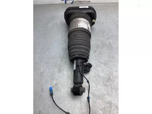 Schokdemper links-achter-8095806