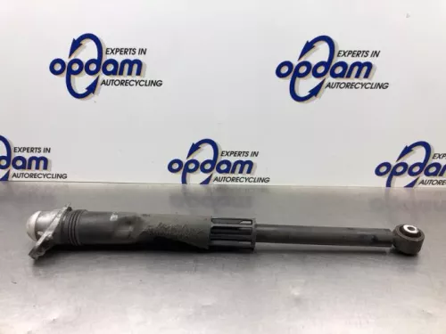 Schokdemper links-achter-8250005