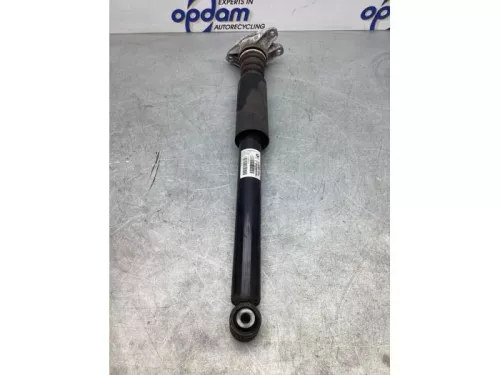 Schokdemper links-achter-7932071