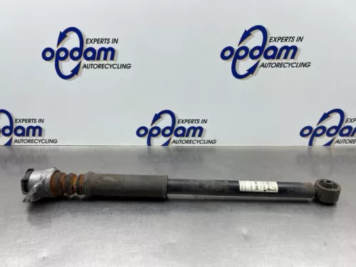 Schokdemper links-achter-8181957