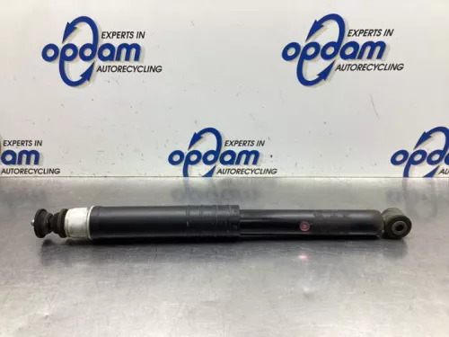 Schokdemper links-achter-8059555