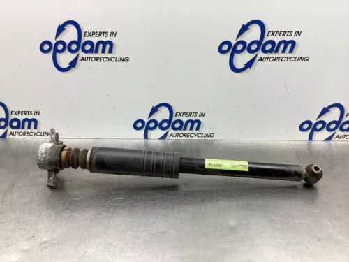 Schokdemper links-achter-8029827