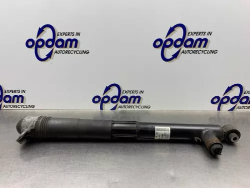 Schokdemper links-achter-8255120