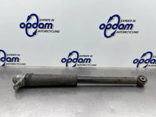 Schokdemper links-achter-8179334