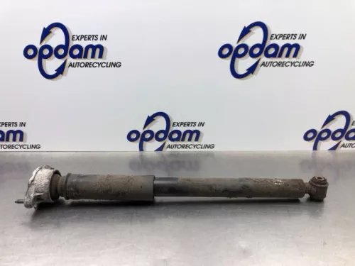 Schokdemper links-achter-8051442