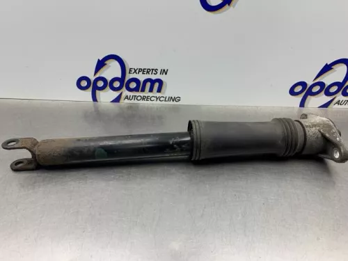 Schokdemper links-achter-8131101