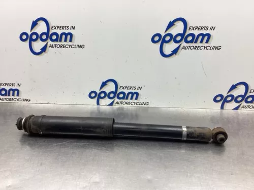 Schokdemper links-achter-8077182