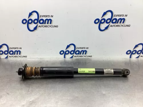 Schokdemper links-achter-8044391