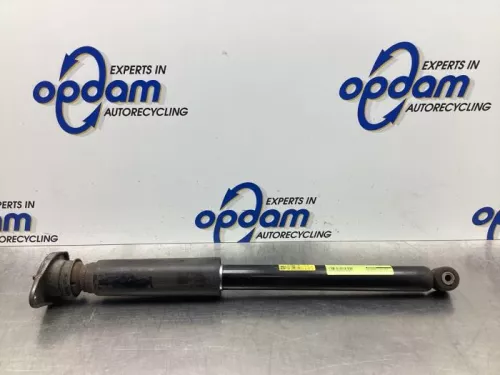 Schokdemper links-achter-7577143