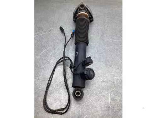 Schokdemper links-achter-7926446