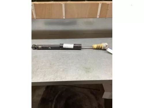 Schokdemper links-achter-7875489