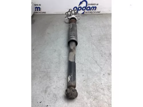 Schokdemper links-achter-8180176