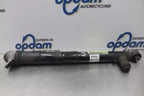 Schokdemper links-achter-7617309