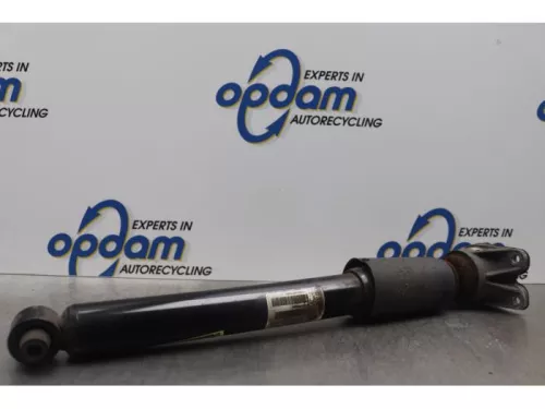 Schokdemper links-achter-7620546