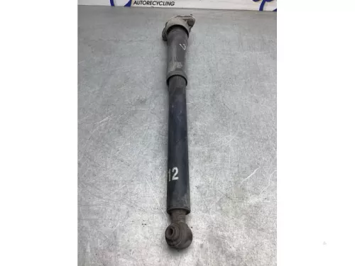 Schokdemper links-achter-8110092