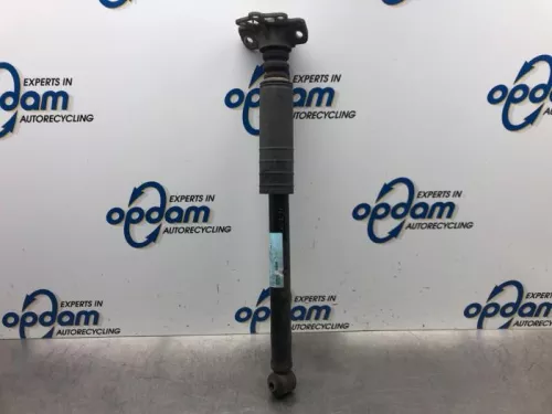 Schokdemper links-achter-7577028