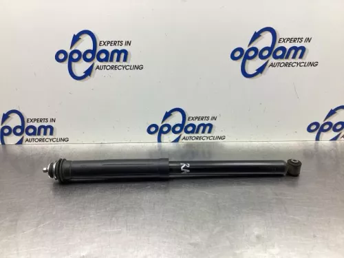 Schokdemper rechts-achter-8046884