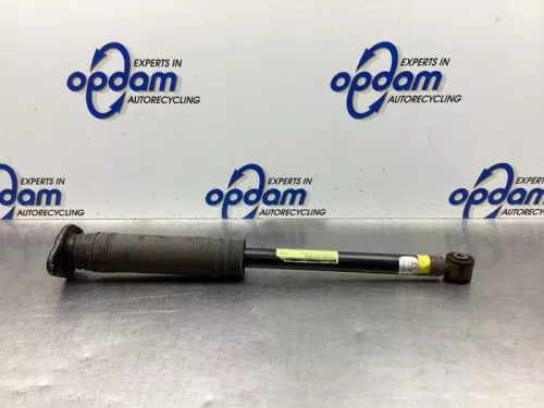 Schokdemper rechts-achter-7520018