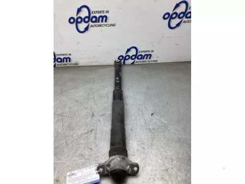 Schokdemper rechts-achter-8219515