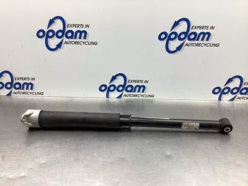 Schokdemper rechts-achter-5504727