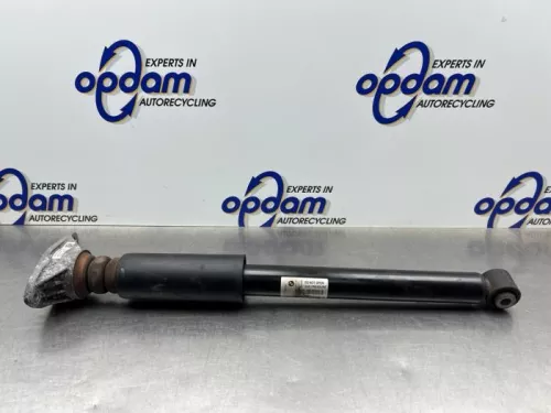 Schokdemper rechts-achter-8224794