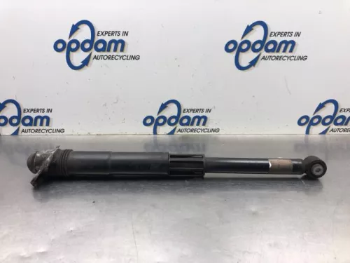 Schokdemper rechts-achter-8121988